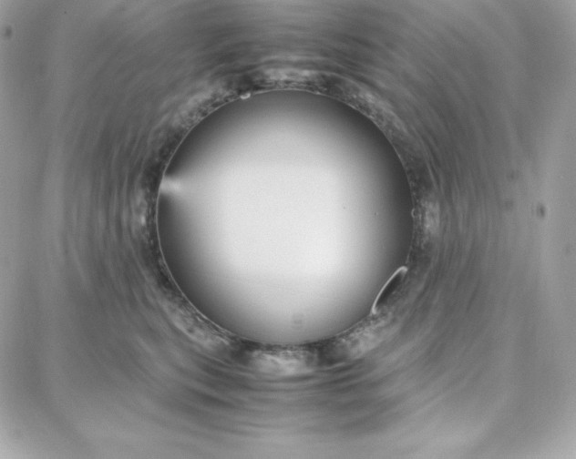 X0000087750567200705211040