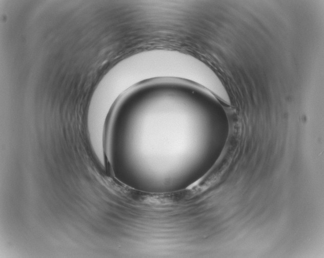 X0000087750568200705211040