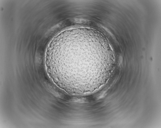 X0000087750569200705211040