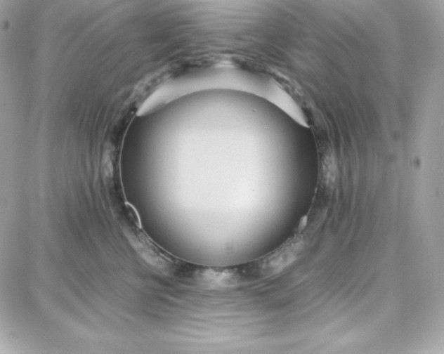 X0000087750570200705211040