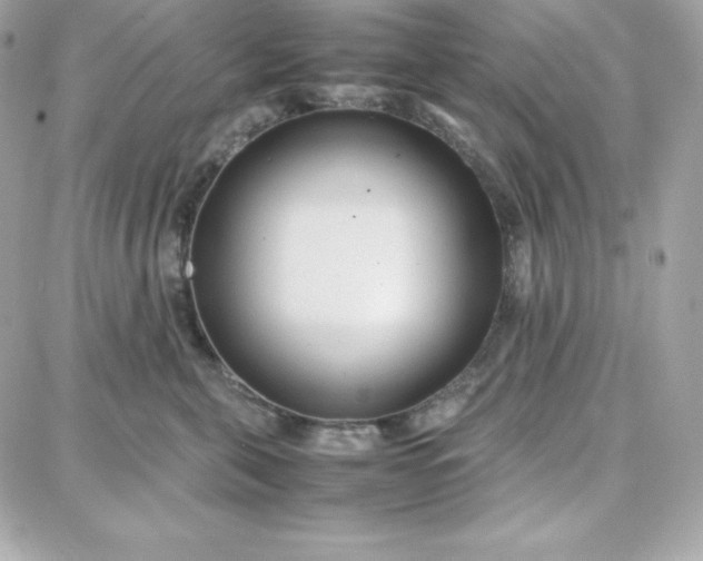 X0000087750571200705211040