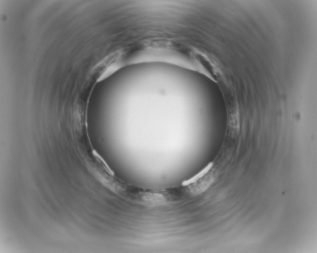 X0000087750572200705211040