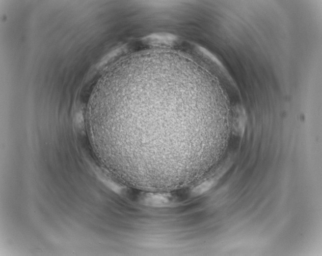 X0000087750573200705211040