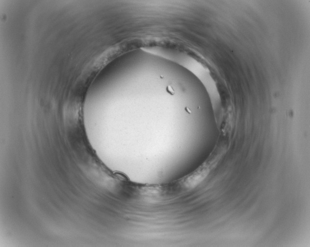 X0000087750574200705211040