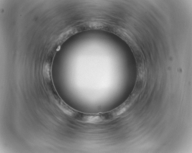 X0000087750575200705211040