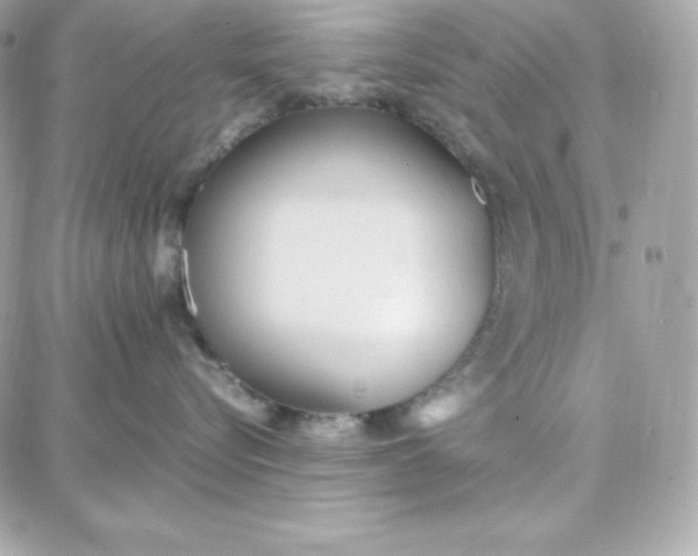 X0000087750576200705211040