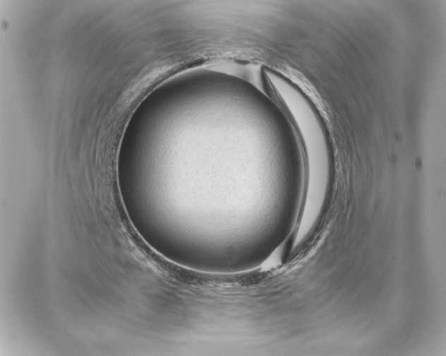 X0000087750577200705211039