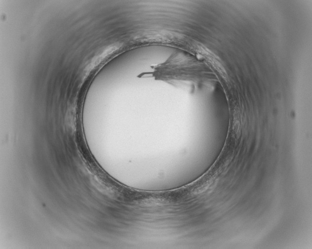 X0000087750578200705211039