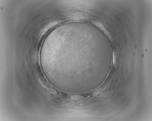 X0000087750579200705211039