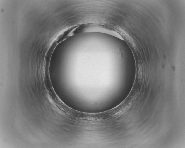 X0000087750580200705211039