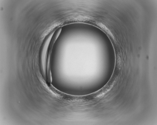 X0000087750581200705211039