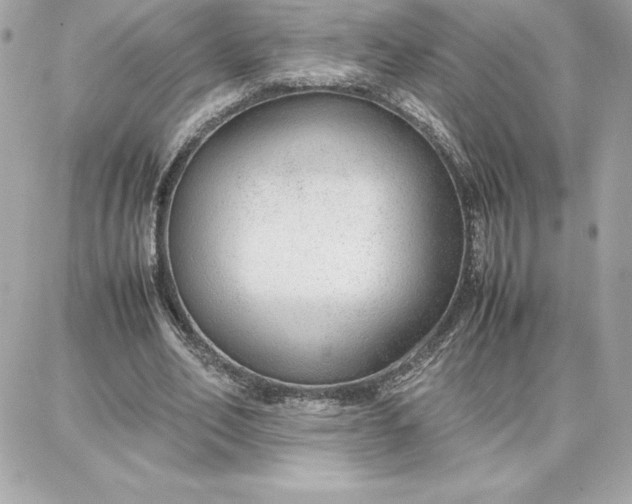 X0000087750582200705211039