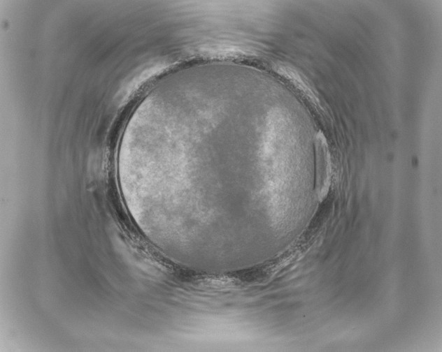 X0000087750583200705211039