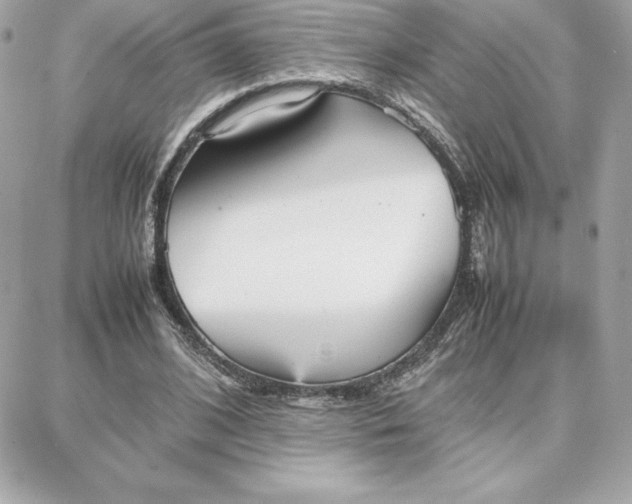 X0000087750584200705211039