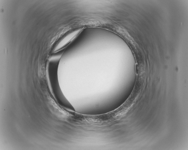 X0000087750585200705211039