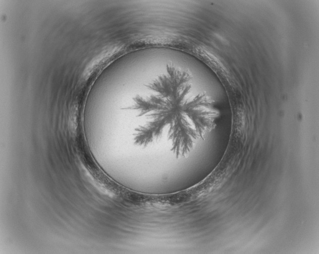 X0000087750586200705211039