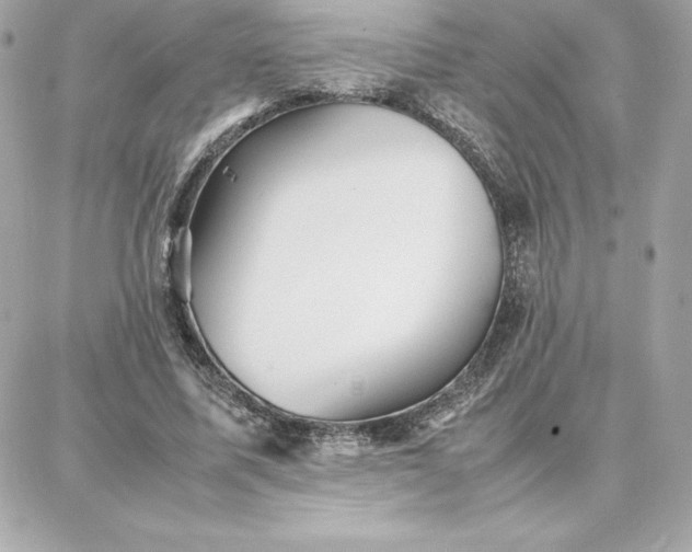 X0000087750587200705211039