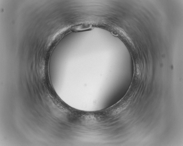 X0000087750588200705211039