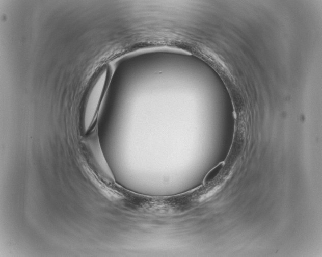 X0000087750589200705211039