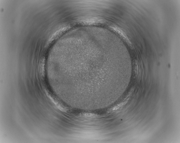 X0000087750590200705211039