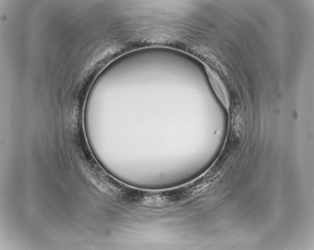 X0000087750591200705211039