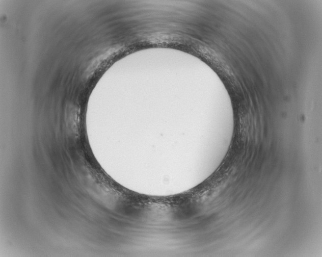 X0000087750592200705211039