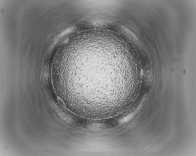 X0000087750593200705211039