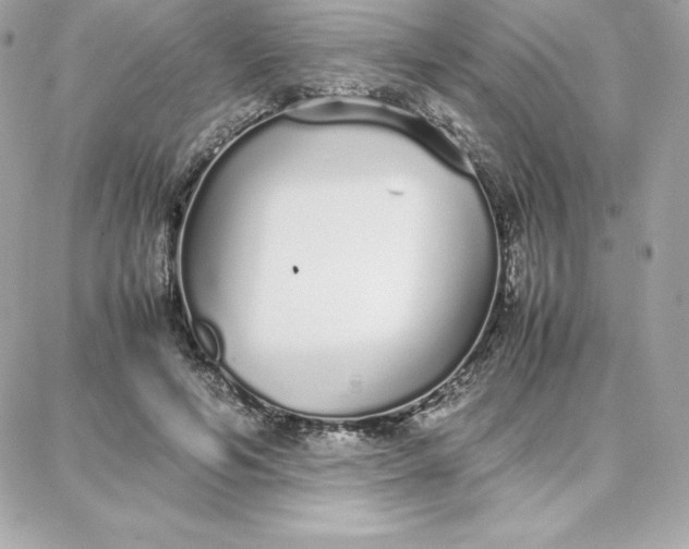 X0000087750594200705211039