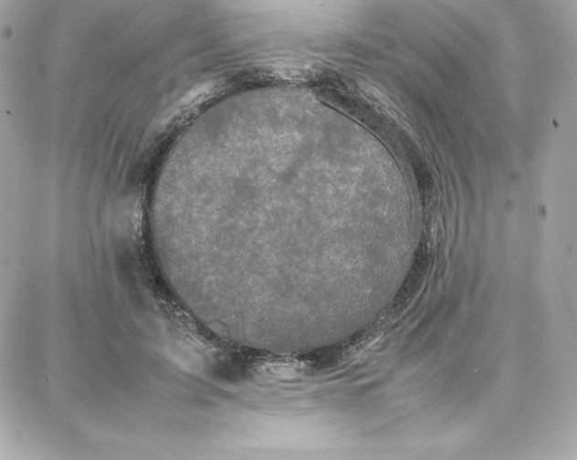 X0000087750595200705211039