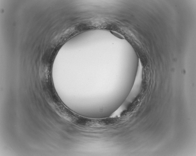 X0000087750597200705211039