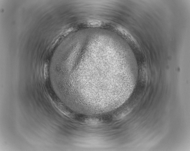 X0000087750598200705211039