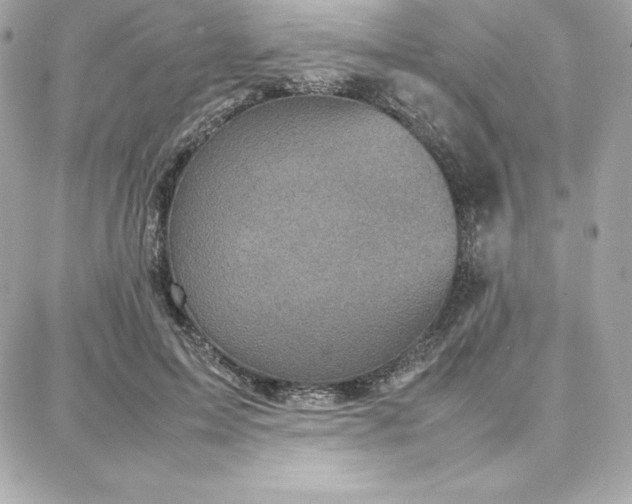 X0000087750599200705211039