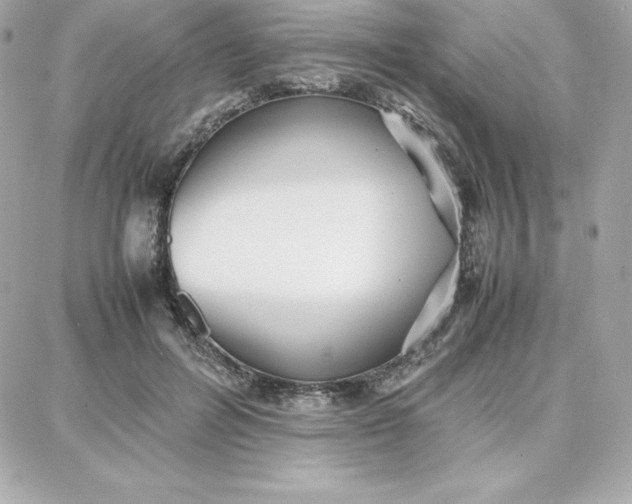 X0000087750600200705211039