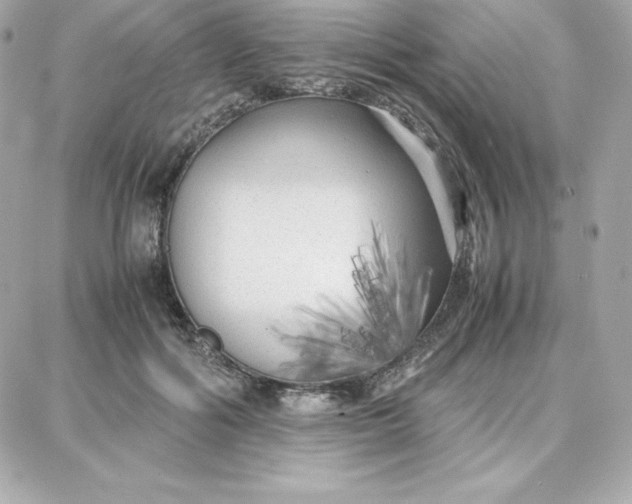 X0000087750602200705211039