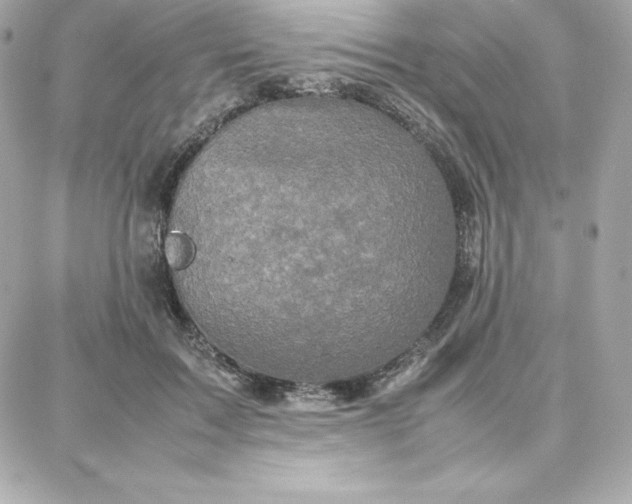 X0000087750603200705211039