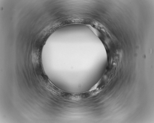 X0000087750604200705211039