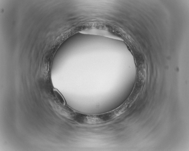 X0000087750605200705211039