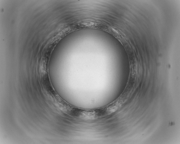 X0000087750606200705211039