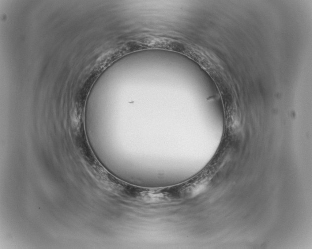 X0000087750607200705211039