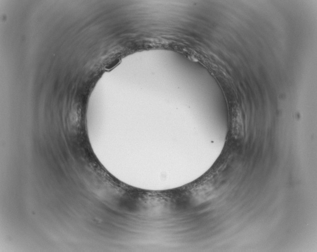 X0000087750608200705211039