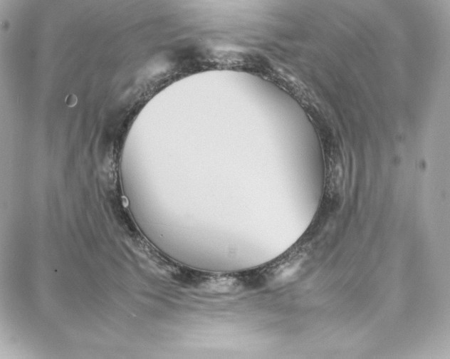 X0000087750609200705211039