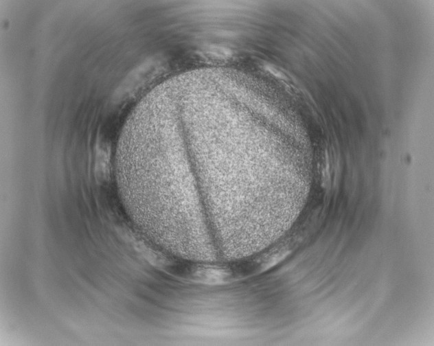 X0000087750610200705211039