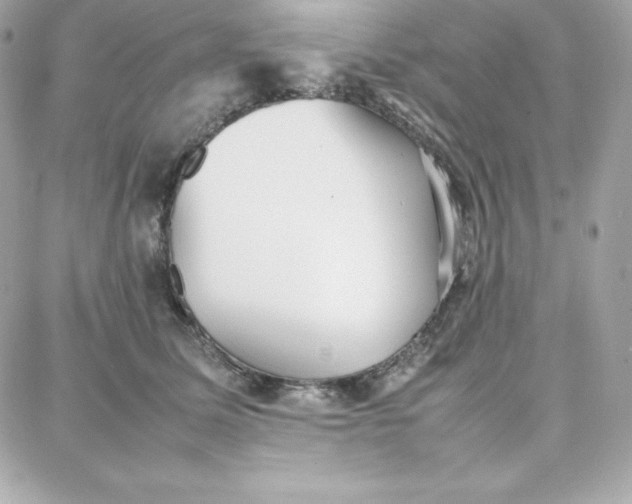 X0000087750611200705211039