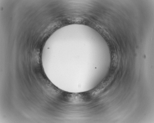 X0000087750612200705211039