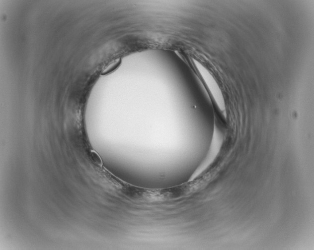 X0000087750613200705211039