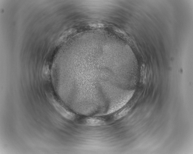 X0000087750614200705211039