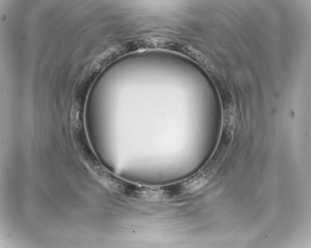 X0000087750615200705211039