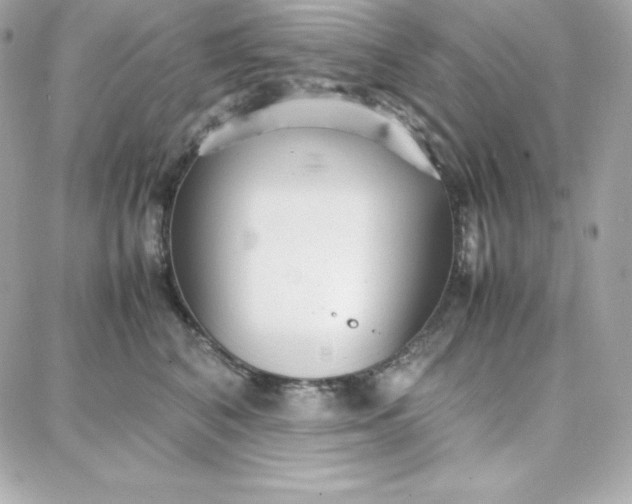 X0000087750616200705211039