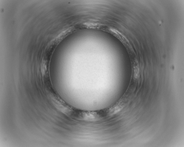 X0000087750618200705211039