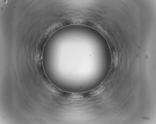 X0000087750619200705211039